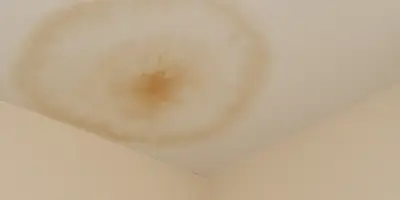 Discolored ceiling from roof leak